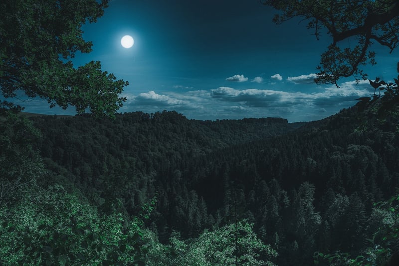 Moonlit Ceremony