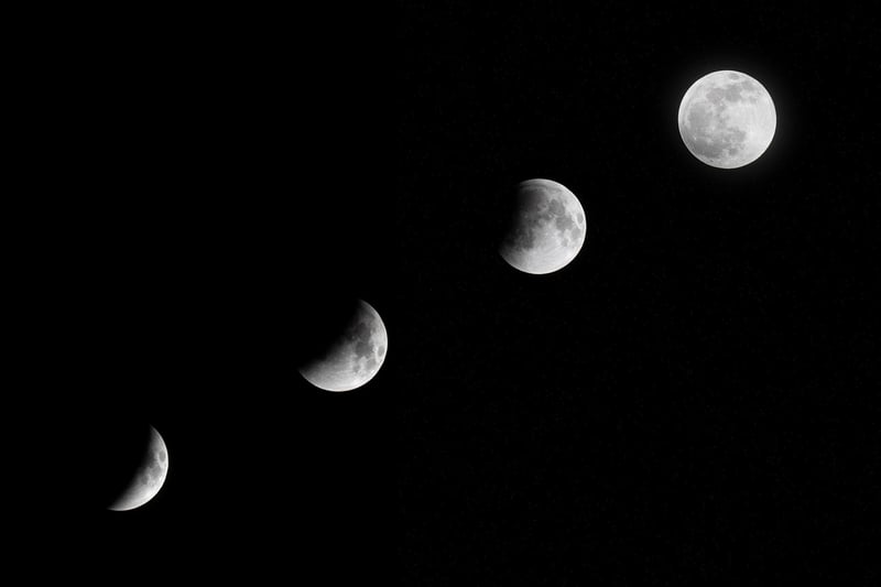 Moon Pies
